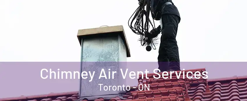 Chimney Air Vent Services Toronto - ON