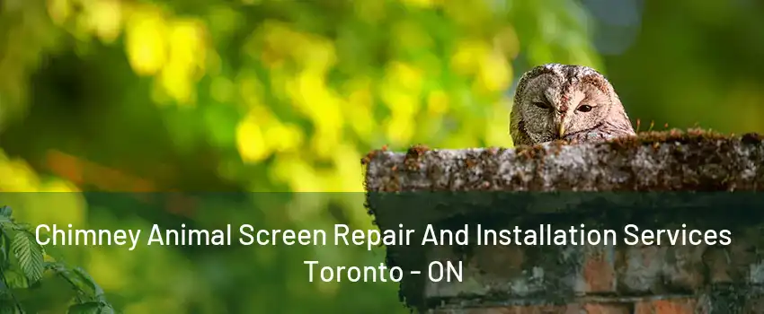 Chimney Animal Screen Repair And Installation Services Toronto - ON