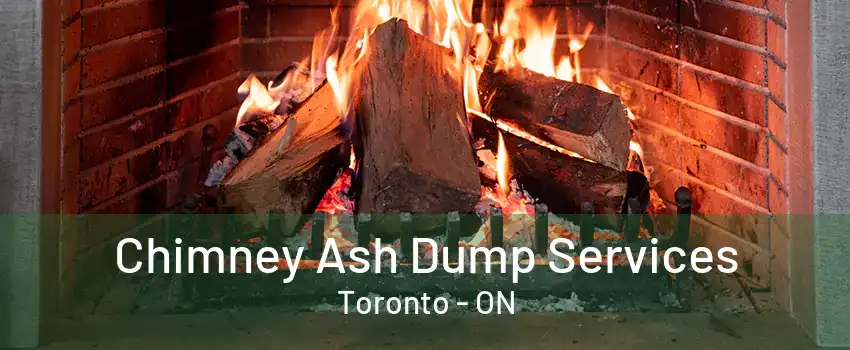 Chimney Ash Dump Services Toronto - ON