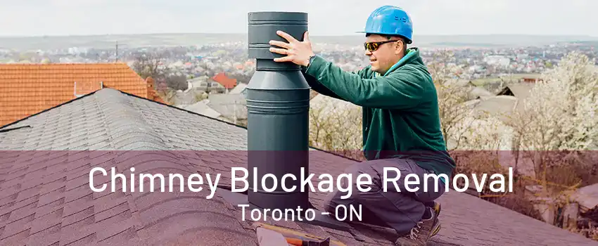 Chimney Blockage Removal Toronto - ON