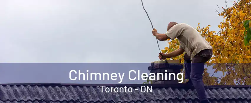 Chimney Cleaning Toronto - ON