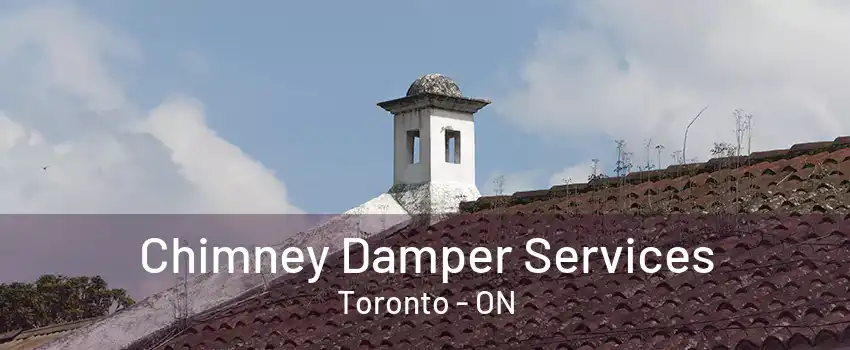 Chimney Damper Services Toronto - ON