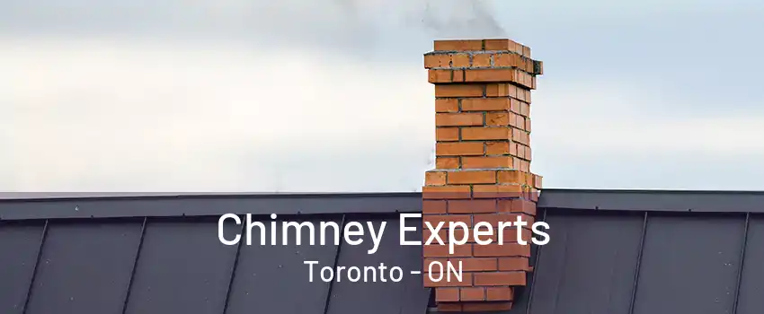 Chimney Experts Toronto - ON