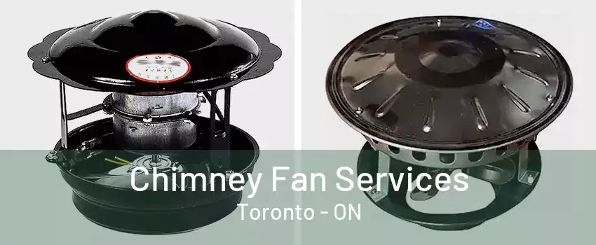 Chimney Fan Services Toronto - ON