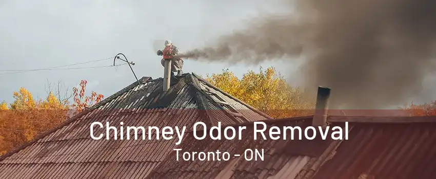 Chimney Odor Removal Toronto - ON