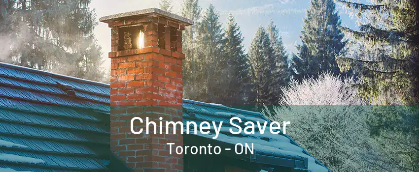 Chimney Saver Toronto - ON