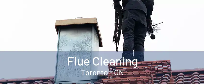 Flue Cleaning Toronto - ON