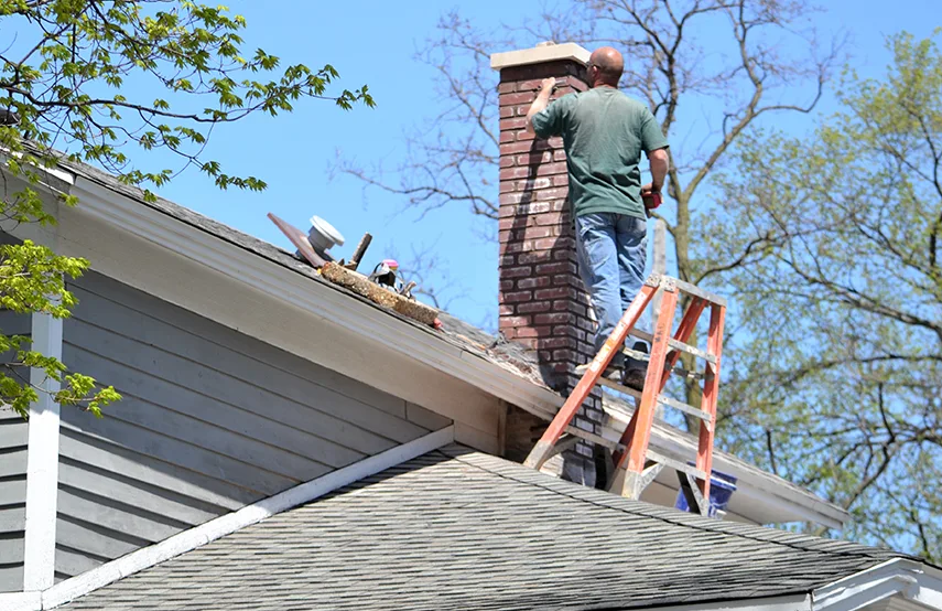 Chimney & Fireplace Inspections Services in Toronto, ON