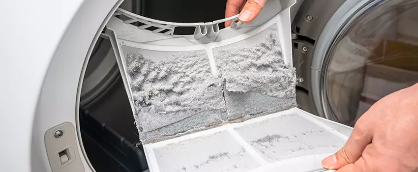 Best Dryer Lint Removal Company in Toronto, Ontario