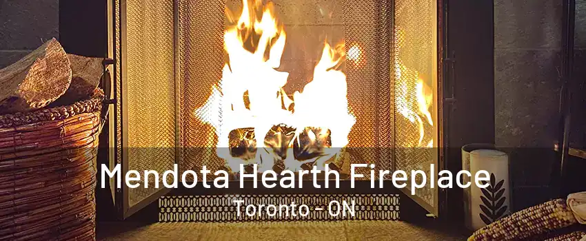 Mendota Hearth Fireplace Toronto - ON