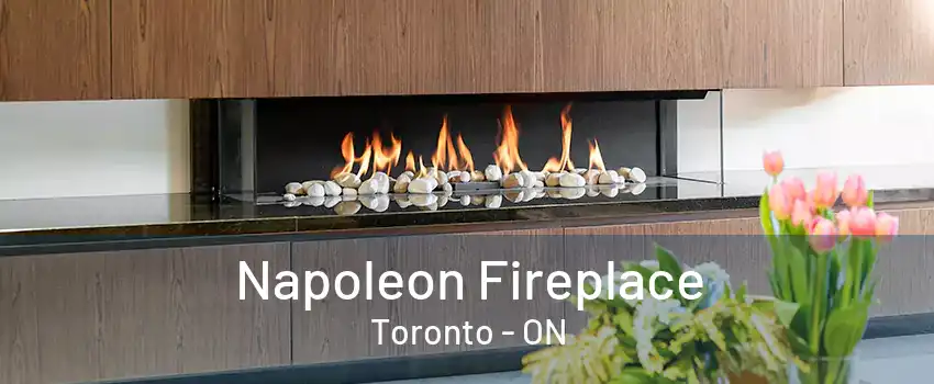 Napoleon Fireplace Toronto - ON